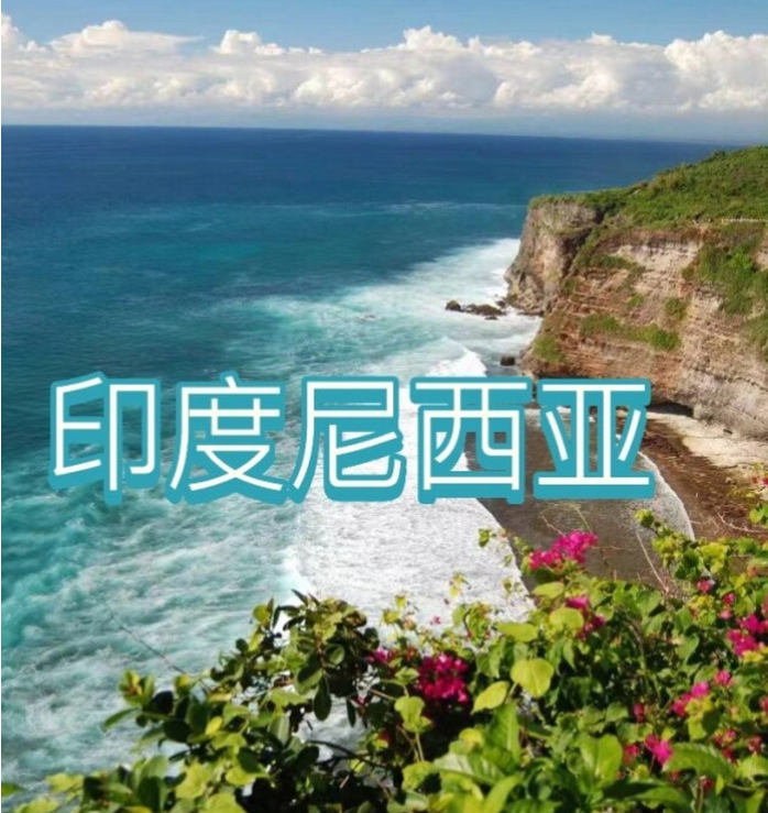 际电商(印尼)产业博览会开元棋牌2025