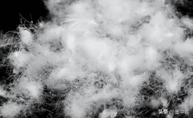 58万创新高低于500元的小心是假货开元棋牌试玩羽绒服要涨价了！鸭绒每吨(图2)