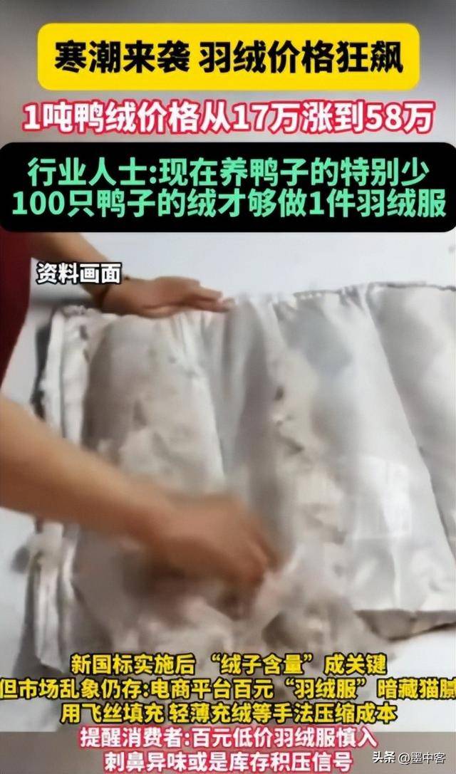 58万创新高低于500元的小心是假货开元棋牌试玩羽绒服要涨价了！鸭绒每吨(图9)