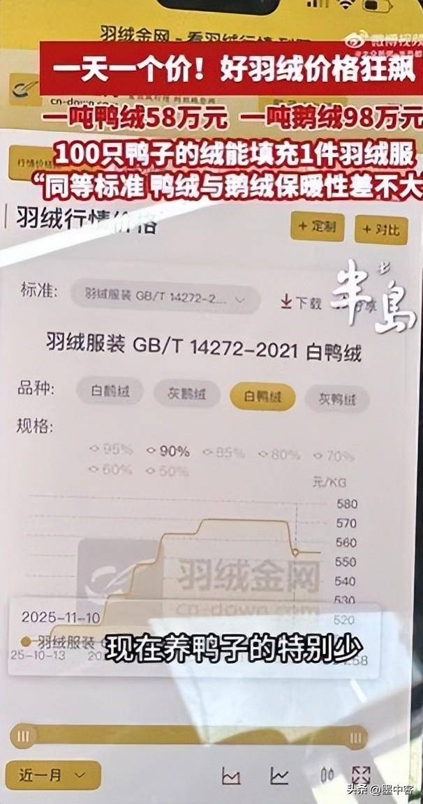 58万创新高低于500元的小心是假货开元棋牌试玩羽绒服要涨价了！鸭绒每吨(图11)